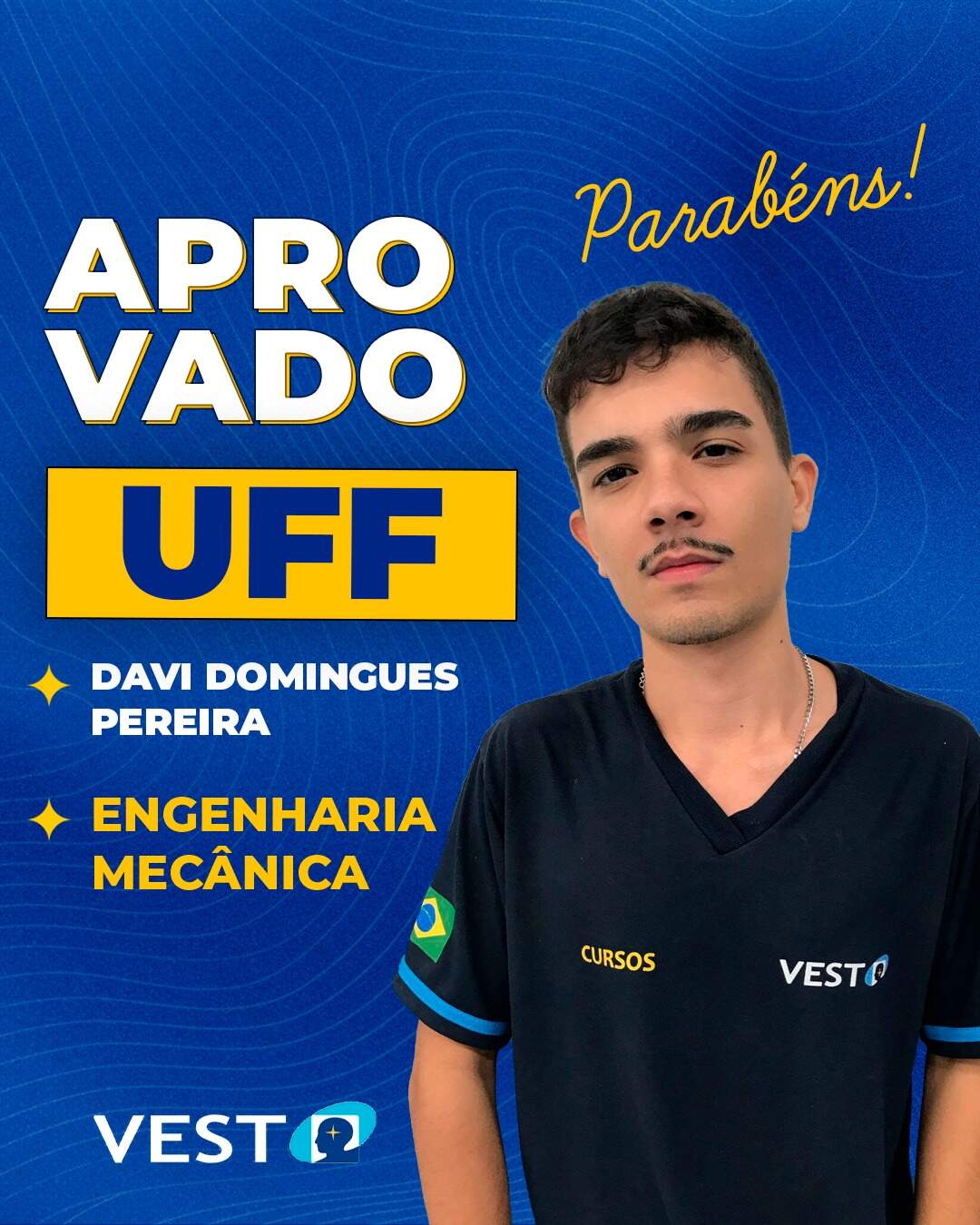 DAVI DOMINGUES PEREIRA